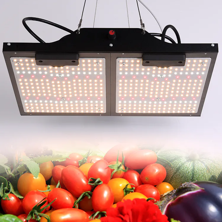 Greenhouse Waterproof Efficacy High Power Chip Dimmable 200W 240W Full Spectrum Led Grow Light