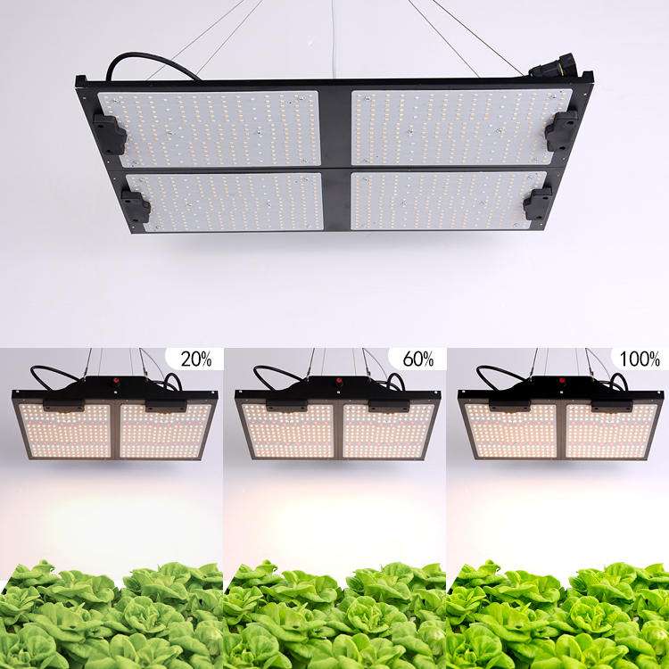 Greenhouse Waterproof Efficacy High Power Chip Dimmable 180W Full Spectrum Led Grow Light