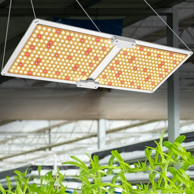 New 100W 120W Full Cob Spectrum Lm301h Lights Tent Sets Growing Indoor Led Grow Light