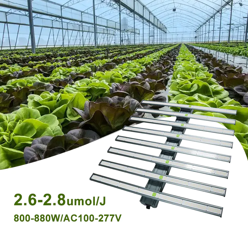 850W 900W Hydroponic Plant Grow Lamp Full Spectrum Spider Led Grow Light for Indoor Vertical Farming