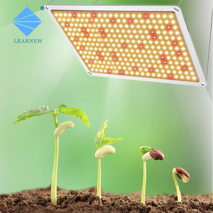 Horticultural Lighting 480W 400W LED Growing Light Customized Dimmable Full Spectrum Growing Light
