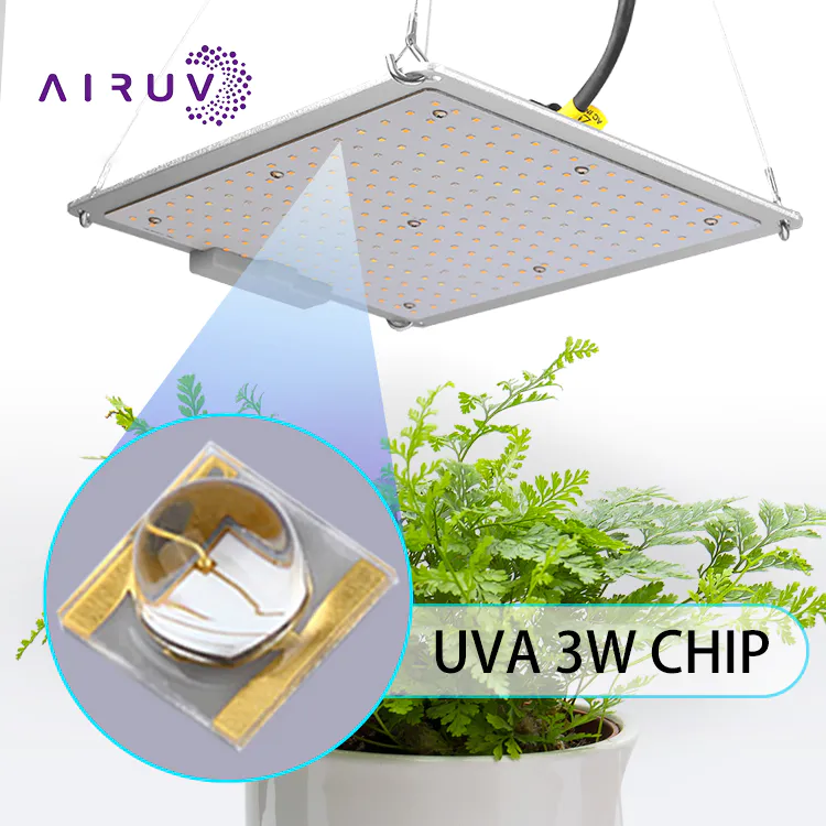 395nm UV LED Chip curing light 3535 SMD UVA LED Diodes Chip For UV curing Offset printer