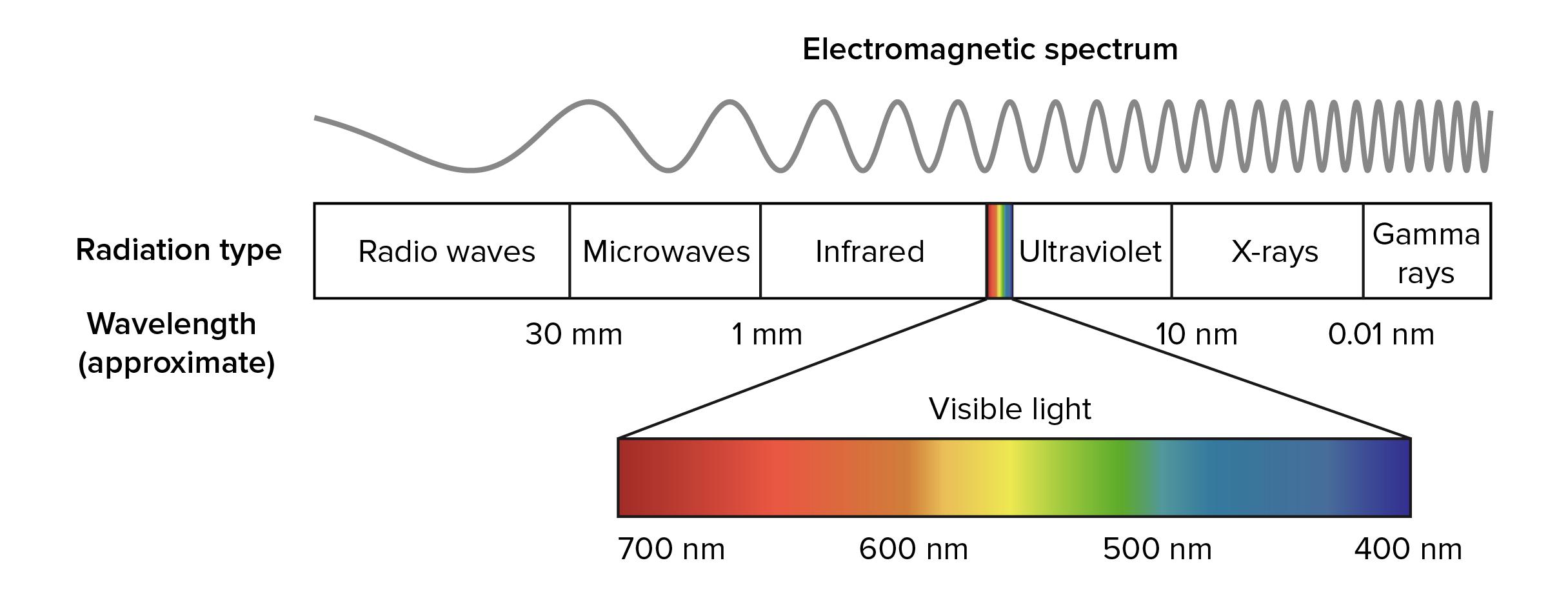 Does Infrared Radiation Have A Longer Wavelength Than Visible Light