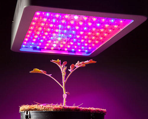 Learnew growing 50 watt cob led at discount for streetlight