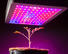 unmanned 10 watt led chip light Learnew