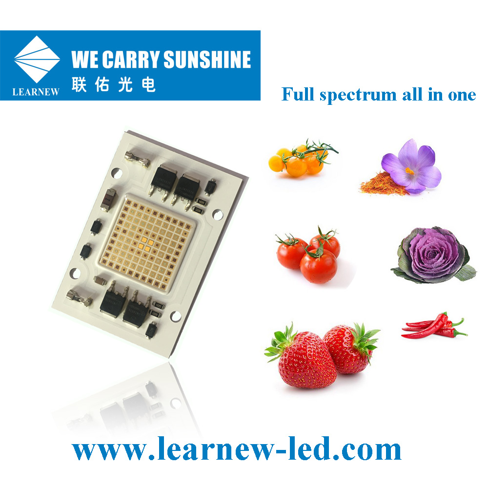 Learnew Array image369