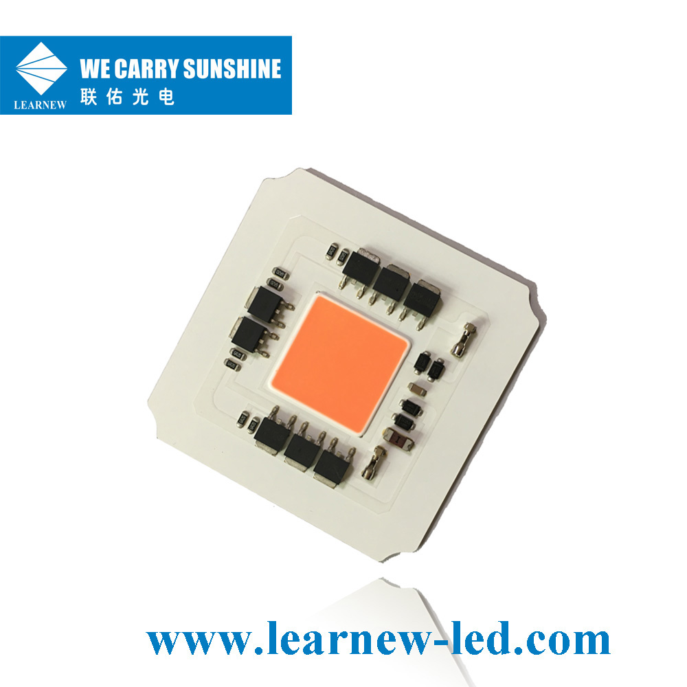 Learnew Array image30
