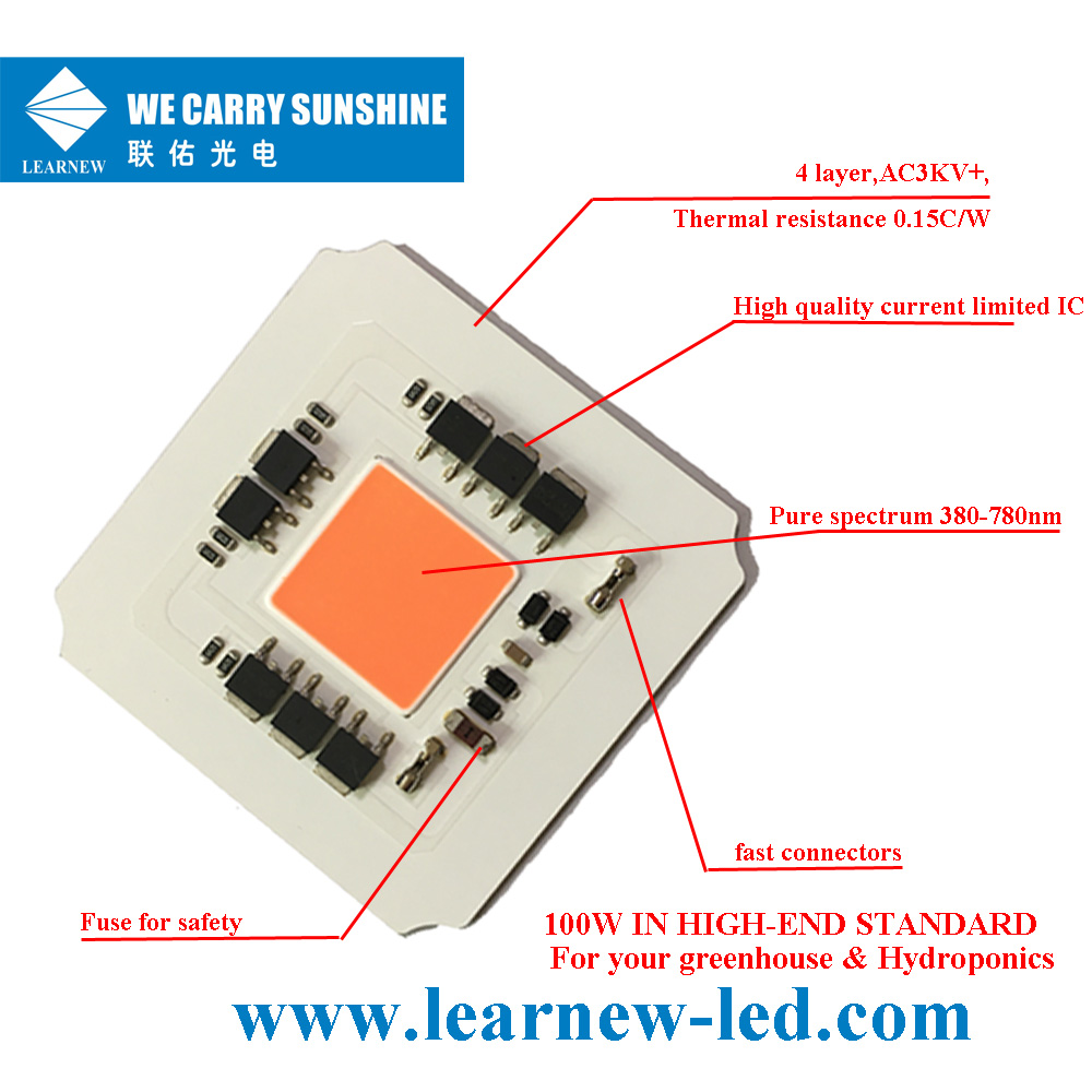 Learnew Array image405