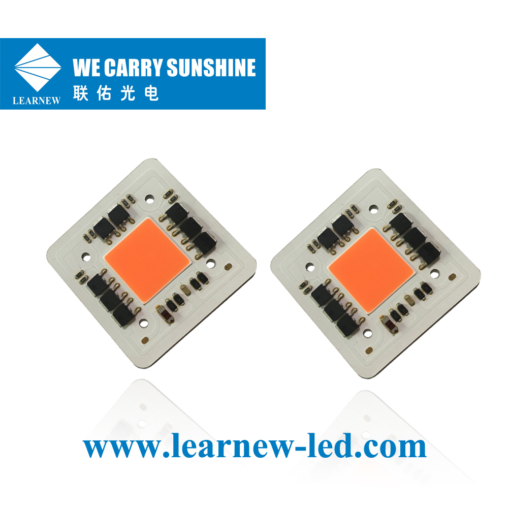 Learnew Array image207