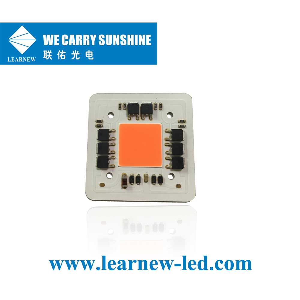 Learnew Array image10