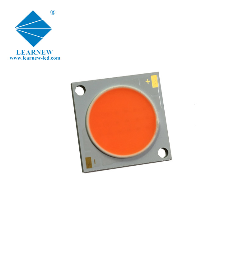 customized chip led cob 50w suppliers for sale-1