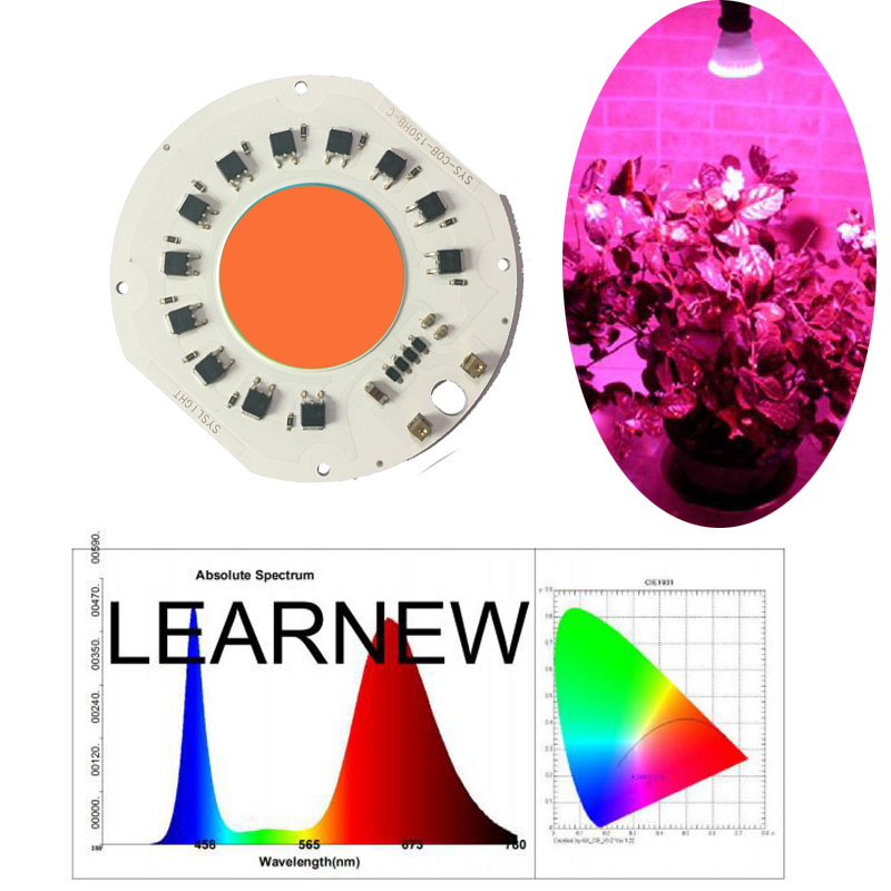 Learnew Array image131