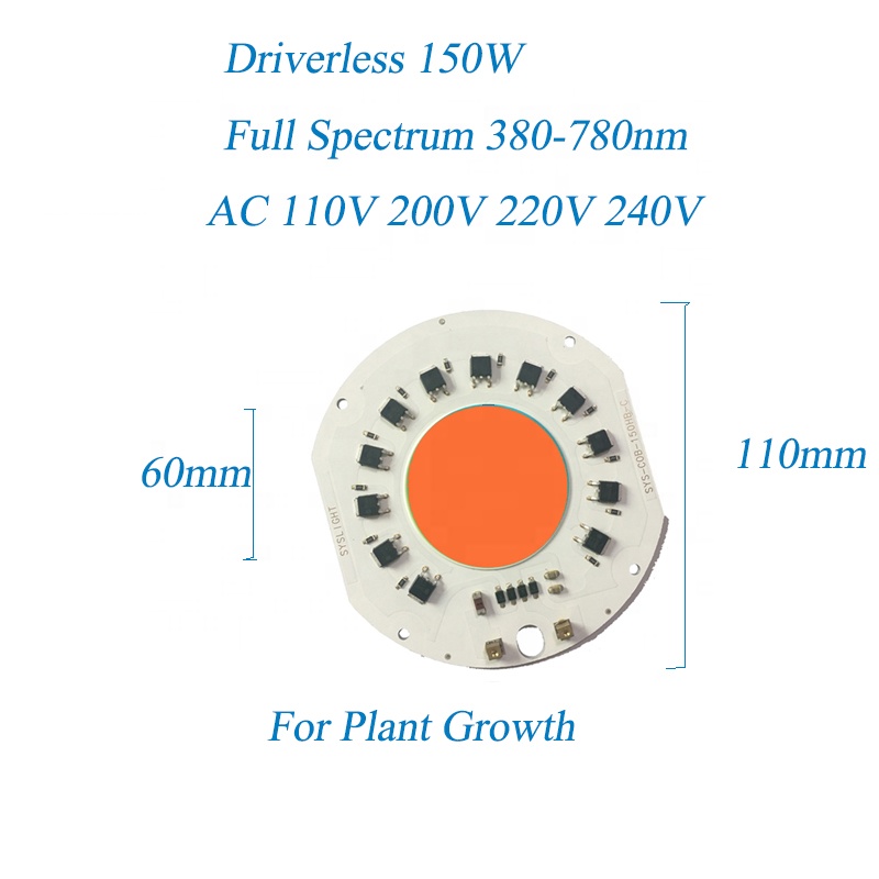 Learnew Array image229