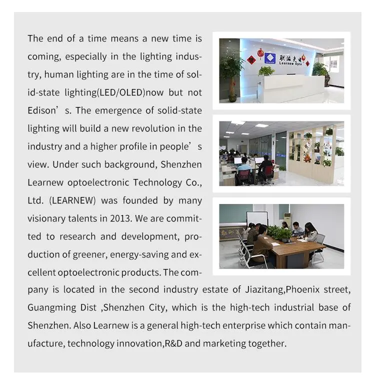 Learnew high lumen led chip manufacturer for led light